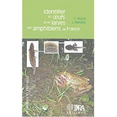 Identifier les oeufs et les larves des amphibiens de France