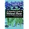 New England Plants & Ecology