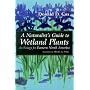 A Naturalist's Guide to Wetland Plants: An Ecology for Eastern North America