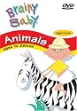 Brainy Baby: Animals [DVD] [2002] [Region 1] [US Import] [NTSC]