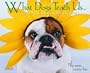 What Dogs Teach Us
