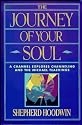 The Journey of Your Soul: A Channel Explores Channeling and the Michael Teachings (Summerjoy Michael Series)