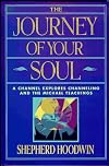 The Journey of Your Soul: A Channel Explores Channeling and the Michael Teachings (Summerjoy Michael Series)