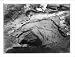 Historic Print (L): Hot Spring, Ruby Valley, Nevada / T. H. O'Sullivan, phot.