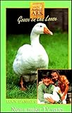 Goose on the loose