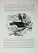 Cassell'S Birds C1870 Cow Starling Raven Molothrus