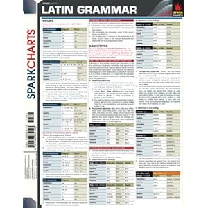 latin grammar  charts
