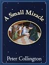Small Miracle