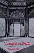Twilight in Delhi (New Directions Paperbook)