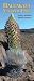 Haleakala National Park: Trails, Activities, Special Features