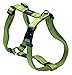 Reflective Adjustable Dog H Harness for Large Dogs; matching collar and leash available, Green