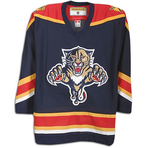 Florida Panthers Hockey Jersey CCM 550 Blue (Blank) M