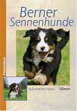 Berner Sennenhunde.