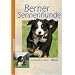 Berner Sennenhunde (Heimtiere)