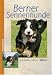 Produkt-Bild: Berner Sennenhunde (Heimtiere)