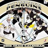 Pittsburgh Penguins 2010 12 x 12 Team Wall Calendar