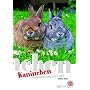 Kaninchen: Oryctolagus cuniculus f. dom von Kathrin Aretz