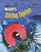 Book Magnets: Sticking Together! (Science in Your Life)