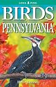 Birds Of Pennsylvania
