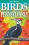 Birds Of Pennsylvania