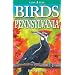 Birds Of Pennsylvania