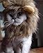 oxe Lion Mane Wig for Cat Costume (Light Brown)
