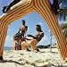 Limbo Dance, Barbados Photographic Poster Print, 24x24