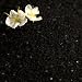 Hawaiian Black Lava Sea Salt ( X-Coarse ) in a PET Jar – Made in Hawaii, USA – Packaged by The Spice Lab Inc.