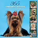 365 Days of Yorkshire Terriers 2007 Calendar (Multilingual Edition)