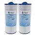 Tier1 Replacement for Jacuzzi J300 6541-383 Spa Filter for J300 Series Jacuzzis, 2 Pack