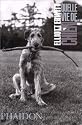 Quelle vie de chien (Ancien prix éditeur : 12,95 euros)