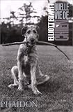 Quelle vie de chien de Elliott Erwitt