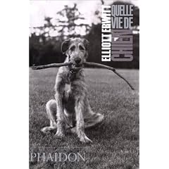 Quelle vie de chien (Ancien prix �diteur  : 12,95 euros)