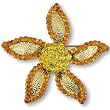 Orange Studded Starfish Animal Brooches Pin