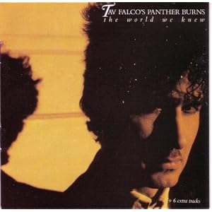 World We Knew by Tav Falco & Panther Burns (Audio CD - 1994)