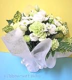 �y������݂̂��ԁz�y���������z�y���~�̂��ԁz�������p�̉ԑ��i���ԁj�O���[���E�z���C�g�u�[�P�^�C�vFL-OS-900