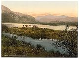 From Glaslyn (cattle study), Snowdon, Wales wall sized print (photochrom) photochrome , 14x18