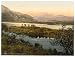 From Glaslyn (cattle study), Snowdon, Wales wall sized print (photochrom) photochrome , 14x18