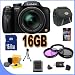 Panasonic Lumix DMC-FZ47 DMC-FZ47K 12.1 MP Digital Camera with 24x Optical Zoom (Black) 16GB Super Accessory Saver Bundle