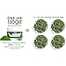 Tsogo Premium Whole Kale Powder, 30g 48 Servings of Premium Quality 100% Whole Freeze-Dried Kale Vegetable Powder - No Added Flavors, Fillers or Sugars