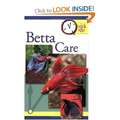 Betta Care (Quick and Easy)