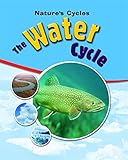 The water cycle