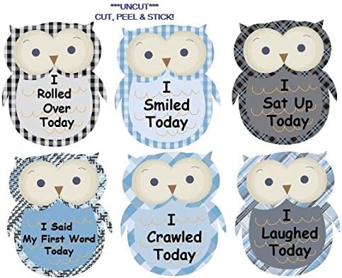Monthly Baby Boy Stickers First Milestones Plaid Owls UNCUT Argyle Damask Stripes Boy Owls