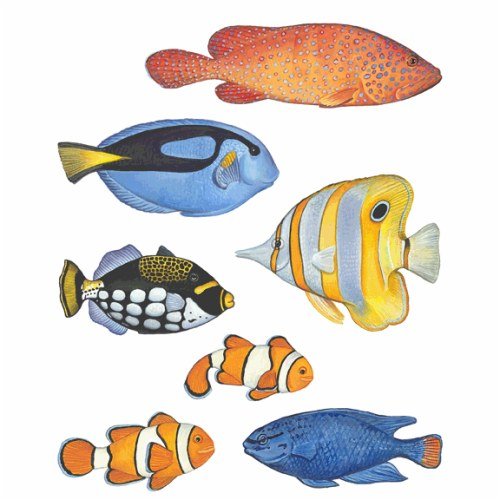 Instant Murals 7 Under The Sea Wall Transfer Stickers - Tropical Fish