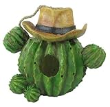 Cactus Resin Birdhouse