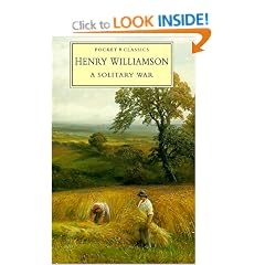 A Solitary War (Pocket Classics: Chronicle of Ancient Sunlight)