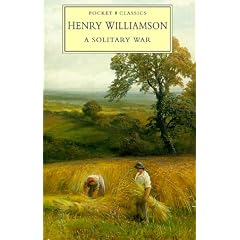 A Solitary War
