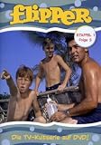 Flipper - Staffel 1, Folge 3 - Brian Kelly