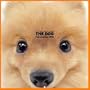 Artlist Collection the Dog 2005 Calendar Pomeranian (Multilingual Edition)