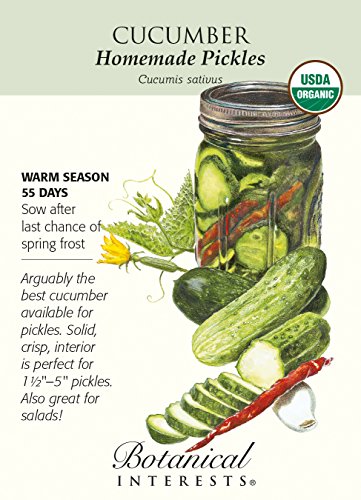 Homemade Pickles Cucumber Seeds - 1.5 grams - Organic
